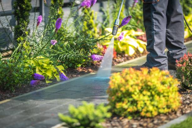 Best Winterizing Services  in Long Grove, IL
